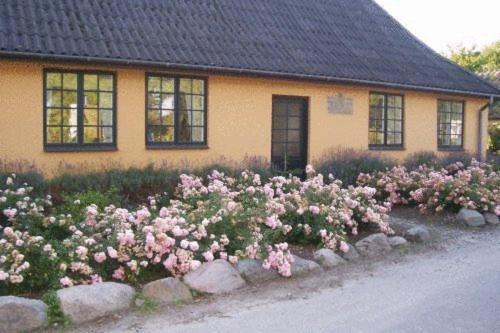 Dyrlev Bed & Breakfast Praesto Exterior foto